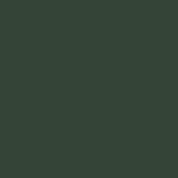 Caparol Capadur Color Wetterschutzfarbe NQG Oxidgrün 404