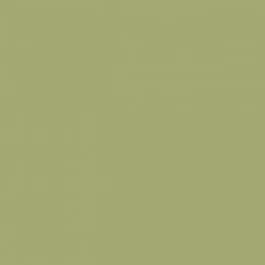 Indeko Plus in Farrow & Ball Saxon Green (80) Wandfarbe Innenfarbe