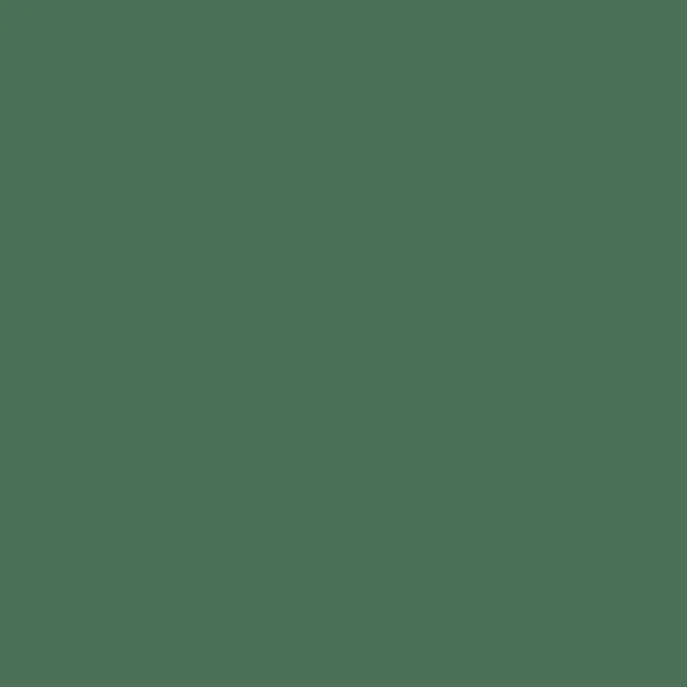 Caparol Amphisil Fassadenfarbe Malachit 40