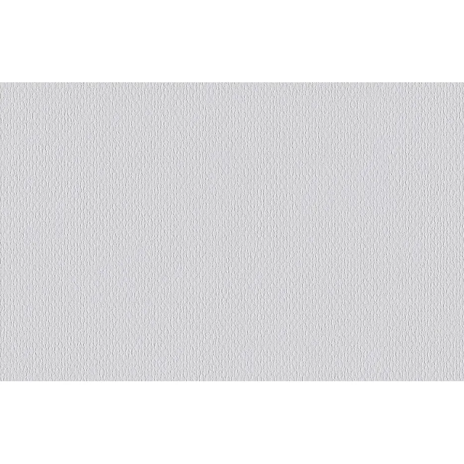 Erfurt Vliestapete Vliesfaser 598 PRO Erfurt Vliestapete Vliesfaser 598 PRO