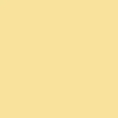Caparol Indeko Plus Mais 14 Wandfarbe Innenfarbe