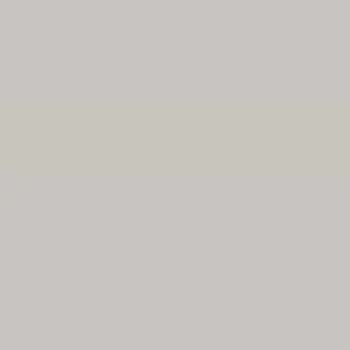 Caparol Amphisil Fassadenfarbe Agave 20