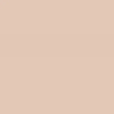 Caparol Indeko Plus Marone 15 Wandfarbe Innenfarbe