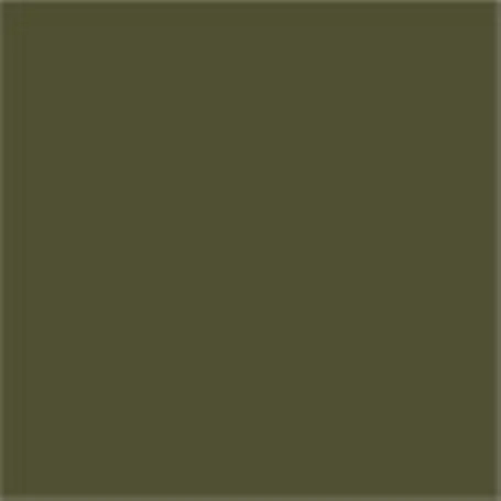 Caparol Capadur Color Wetterschutzfarbe NQG RAL 6009 Tannengrün