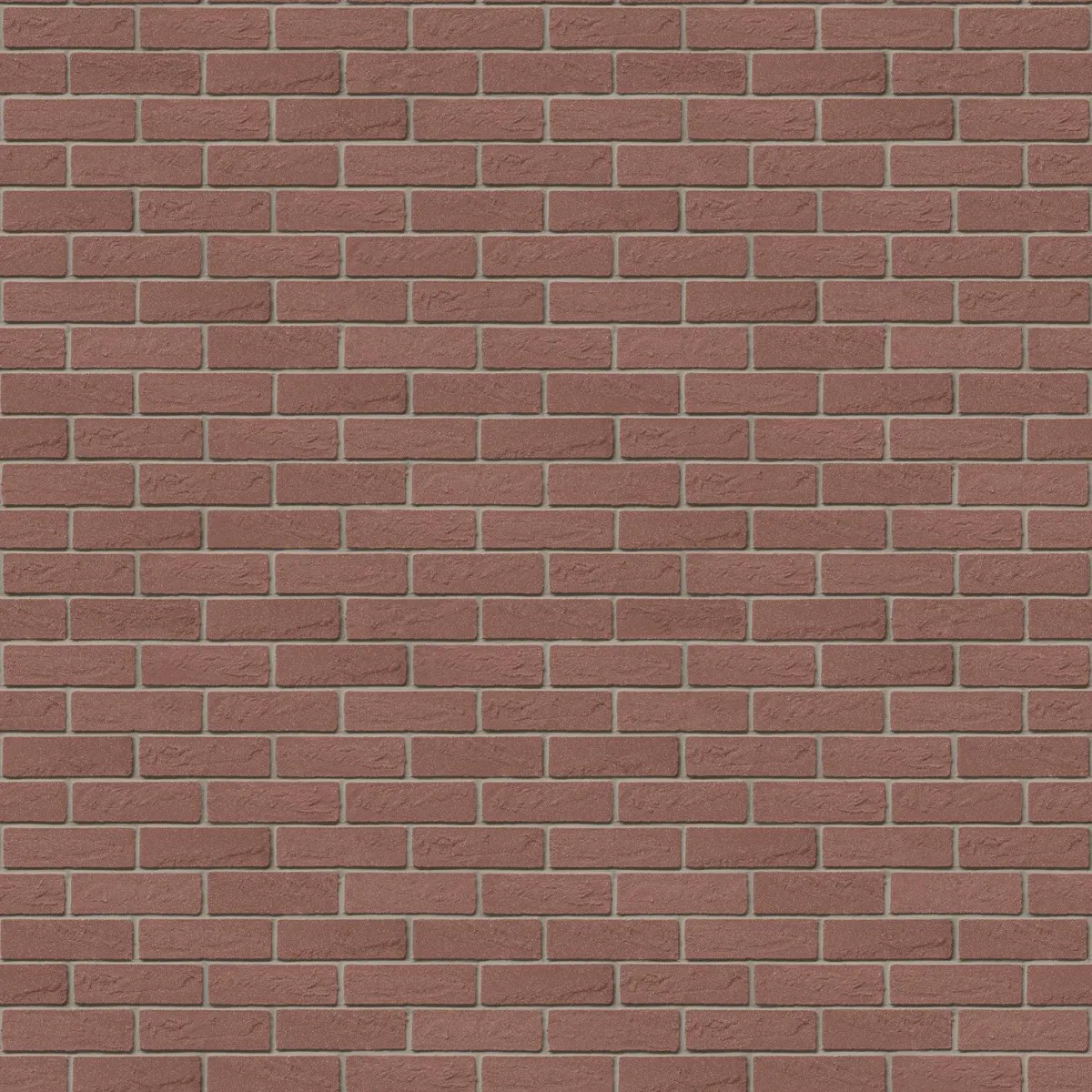 Meldorfer Flachverblender Riemchen Dithmarschen Meldorfer Flachverblender Riemchen Dithmarschen