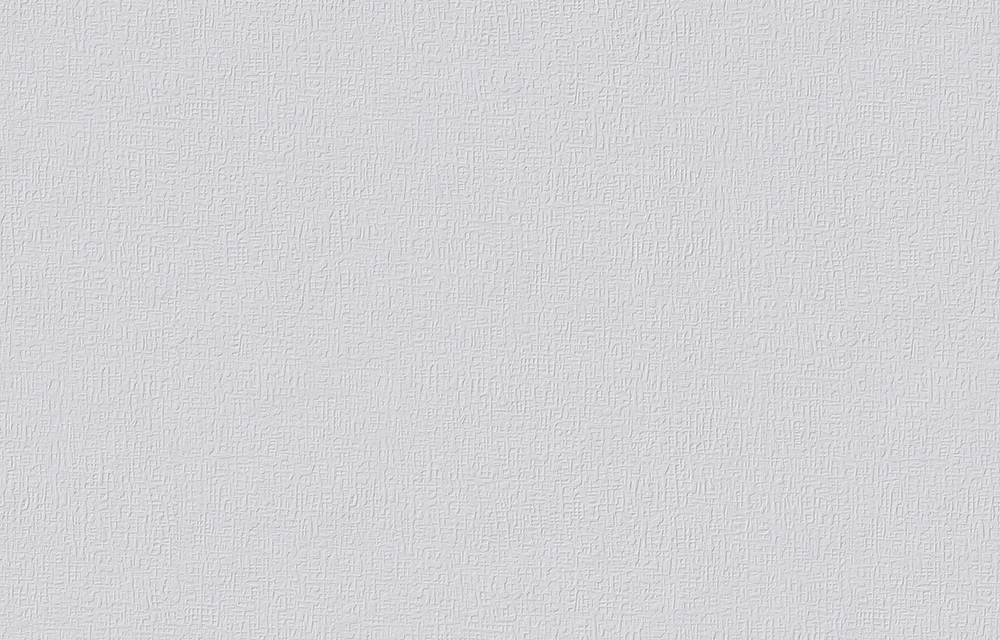 Erfurt Vliestapete Vliesfaser 563 PRO