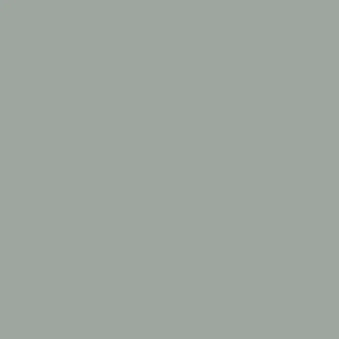 Caparol Amphisil Fassadenfarbe Mint 10