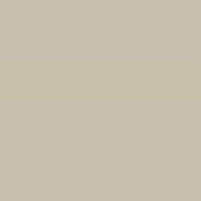 Caparol Amphisil Fassadenfarbe Citrus 25