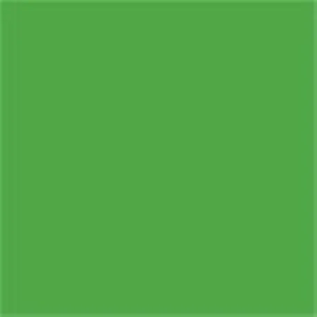 Caparol Capadur Color Wetterschutzfarbe NQG RAL 6018 Gelbgrün