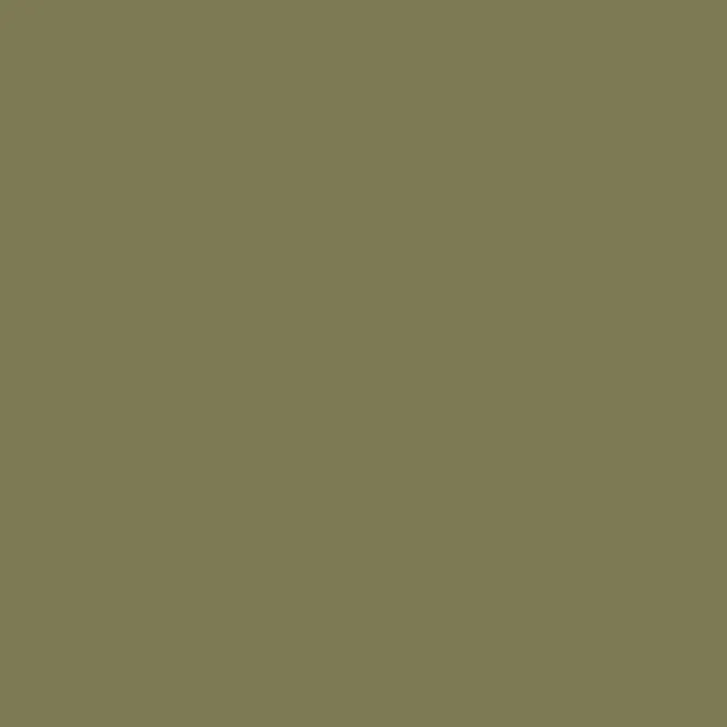 Caparol Dickschichtlack Tarnfarbe RAL 6040 Helloliv