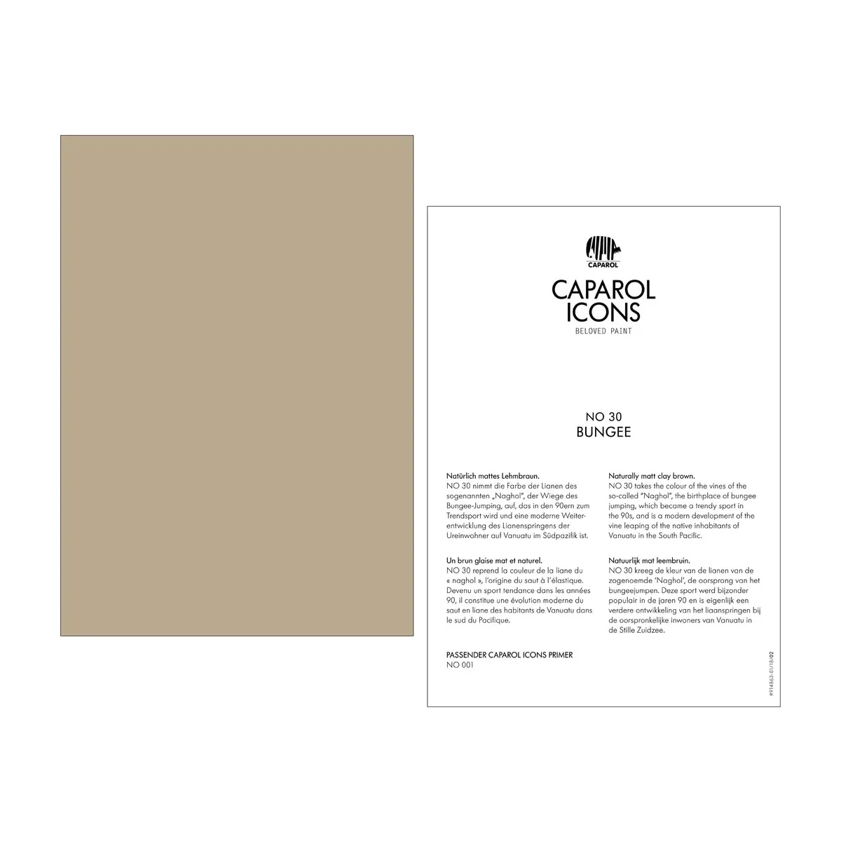 Caparol ICONS No 30 Bungee Caparol ICONS No 30 Bungee