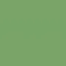 Caparol Amphisil Fassadenfarbe Oase 135 Caparol Amphisil Fassadenfarbe Oase 135