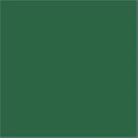 Caparol Capadur Color Wetterschutzfarbe NQG RAL 6016 Türkisgrün
