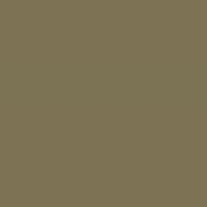 Caparol Amphisil Fassadenfarbe Citrus 10