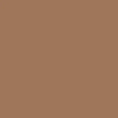 Caparol Amphisil Fassadenfarbe Amber 40
