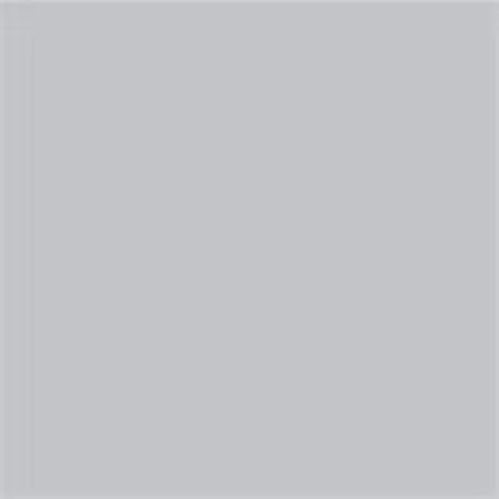 Caparol Capadur Color Wetterschutzfarbe NQG RAL 7004 Signalgrau