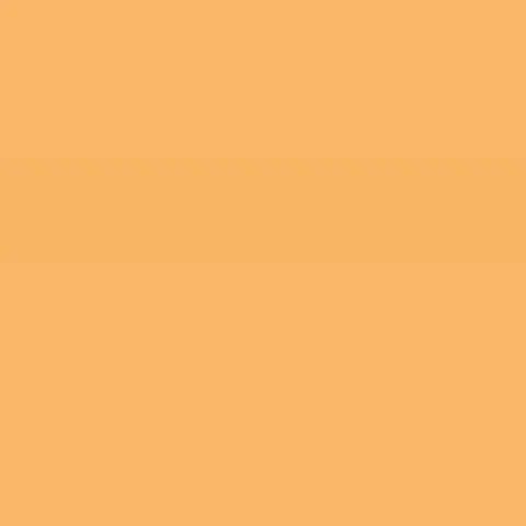 Caparol Indeko Plus Aprikose 13 Wandfarbe Innenfarbe Caparol Indeko Plus Aprikose 13 Wandfarbe Innenfarbe