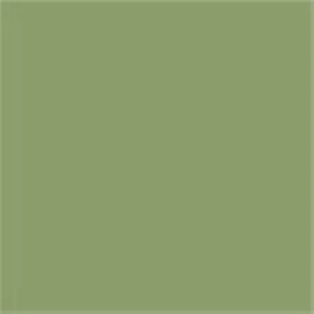 Caparol Capadur Color Wetterschutzfarbe NQG RAL 6021 Blassgrün