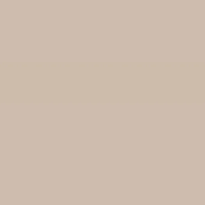 Caparol Amphisil Fassadenfarbe Onyx 70