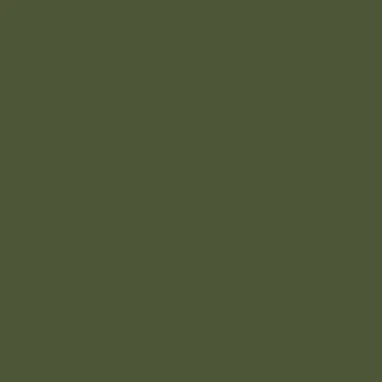 Caparol Capadur Color Wetterschutzfarbe NQG Grüner Ocker 406