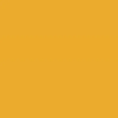 Caparol Indeko Plus Mais 0 Wandfarbe Innenfarbe