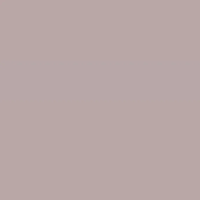 Caparol Amphisil Fassadenfarbe Rose 45