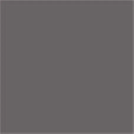 Caparol Capadur Color Wetterschutzfarbe NQG RAL 7043 Verkehrsgrau B