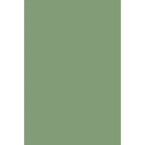 Indeko Plus in Farrow & Ball Breakfast Room Green (81) Wandfarbe Innenfarbe