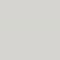 Caparol Amphisil Fassadenfarbe Agave 25
