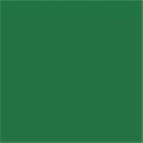 Caparol Capadur Color Wetterschutzfarbe NQG RAL 6032 Signalgrün