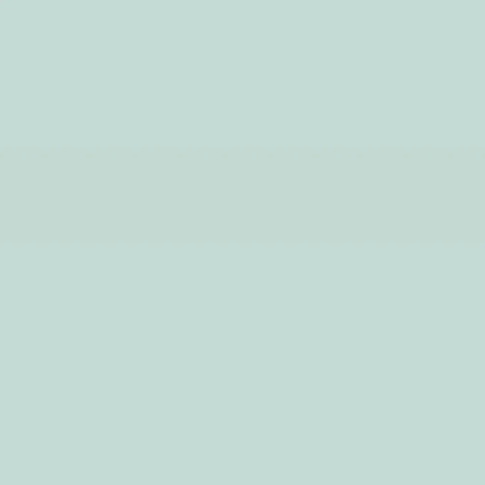 Caparol Amphisil Fassadenfarbe Patina 60