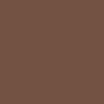 Histolith Leinölfarbe Oxidbraun 0 Histolith Leinölfarbe Oxidbraun 0