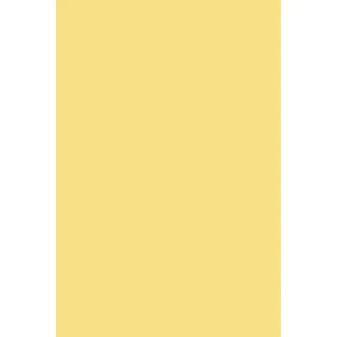 Indeko Plus in Farrow & Ball Dayroom Yellow (233) Wandfarbe Innenfarbe