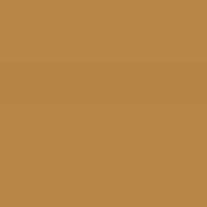 Caparol Amphisil Fassadenfarbe Onyx 155