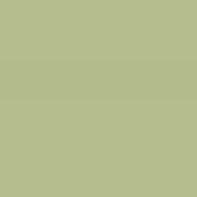 Caparol Amphisil Fassadenfarbe Jade 105