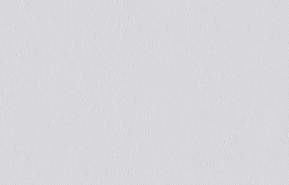 Erfurt Vliestapete Vliesfaser 564 PRO