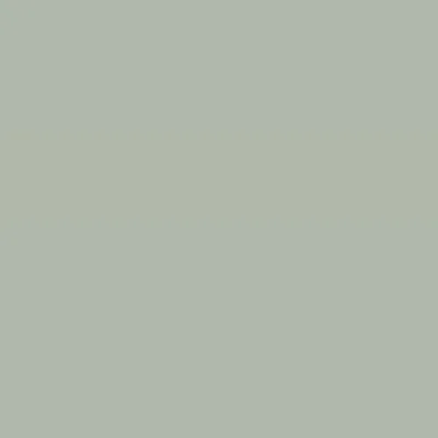 Caparol Indeko Plus Salbei 13 Wandfarbe Innenfarbe