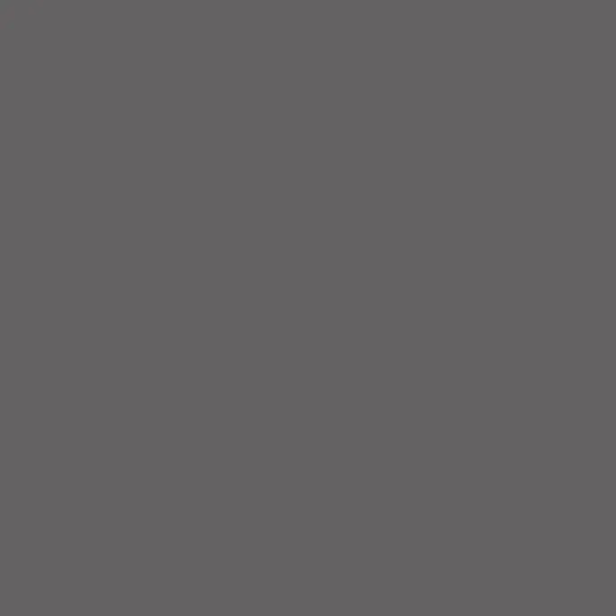 Caparol Indeko Plus Granit 15 Wandfarbe Innenfarbe
