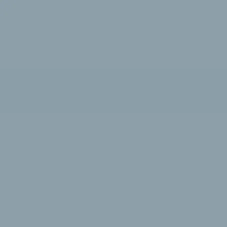 Caparol Indeko Plus Atlantis 13 Wandfarbe Innenfarbe