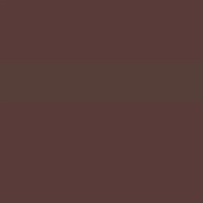 Caparol Indeko Plus Magma 5 Wandfarbe Innenfarbe