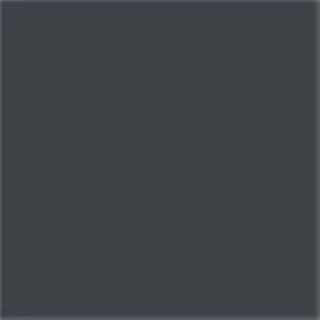 Caparol Capadur Color Wetterschutzfarbe NQG RAL 7024 Graphitgrau