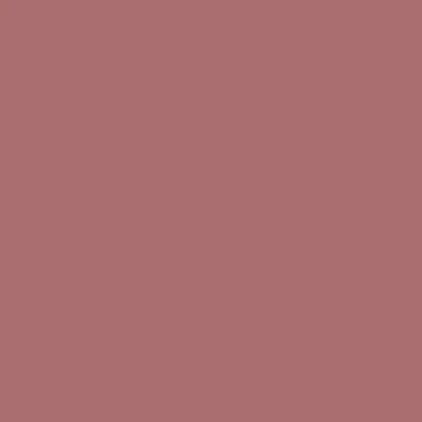 Caparol Amphisil Fassadenfarbe Barolo 75