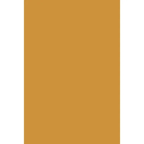 Indeko Plus in Farrow & Ball India Yellow (66) Wandfarbe Innenfarbe