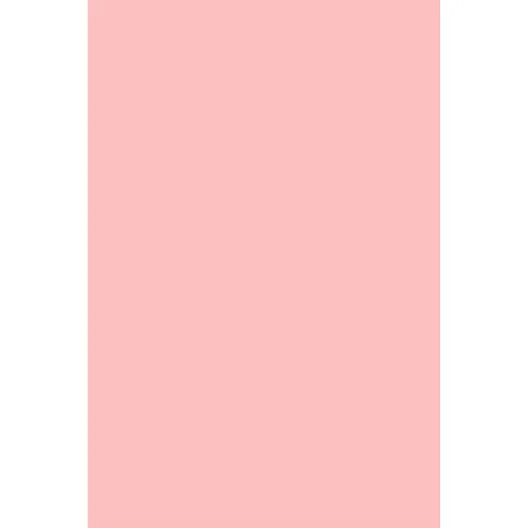 Indeko Plus in Farrow & Ball Nancy's Blushes (278) Wandfarbe Innenfarbe