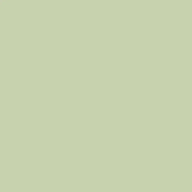 Caparol Indeko Plus Amazonas 15 Wandfarbe Innenfarbe Caparol Indeko Plus Amazonas 15 Wandfarbe Innenfarbe