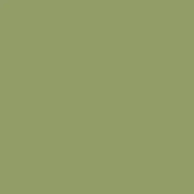 Indeko Plus in Farrow & Ball Olive (13) Wandfarbe Innenfarbe