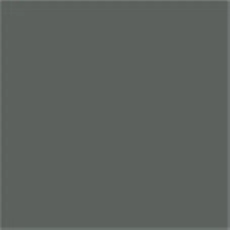 Caparol Acryllack Capacryl PU Matt RAL 7011 Eisengrau