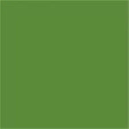 Caparol Capadur Color Wetterschutzfarbe NQG RAL 6017 Maigrün