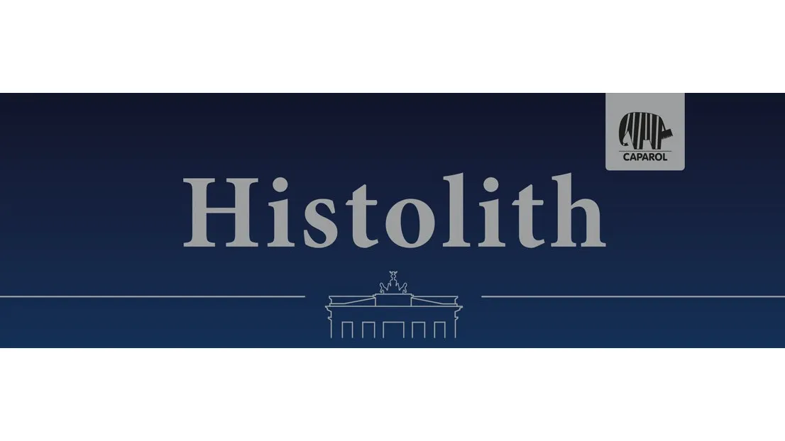 Histolith Baudenkmalpflege Denkmalschutz