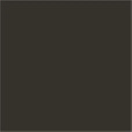 Caparol Capadur Color Wetterschutzfarbe NQG RAL 8022 Schwarzbraun